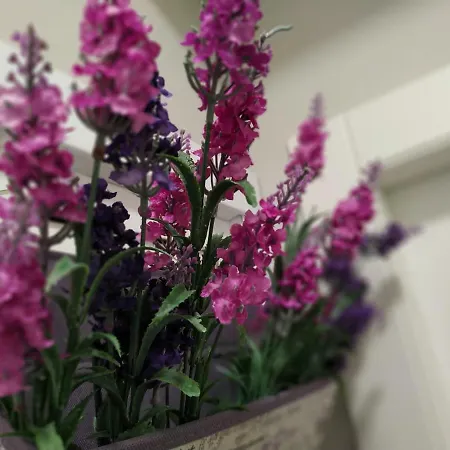 Porta Romana Pensionat